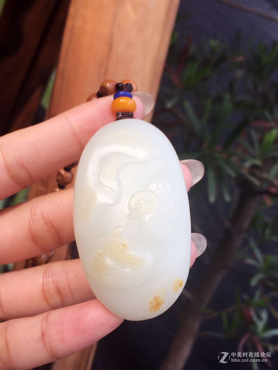 来看看我最近的收藏品~~