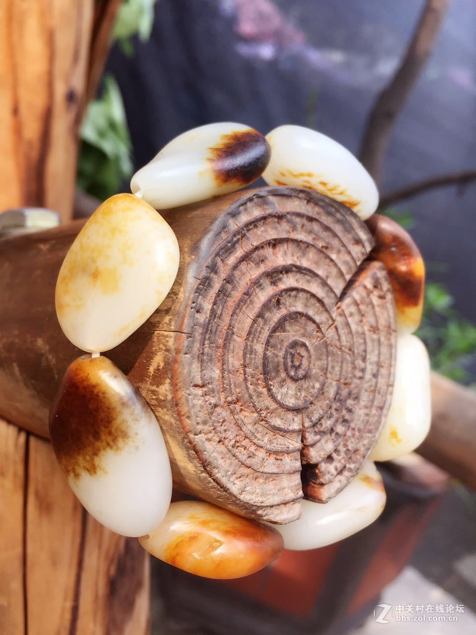 来看看我最近的收藏品~~