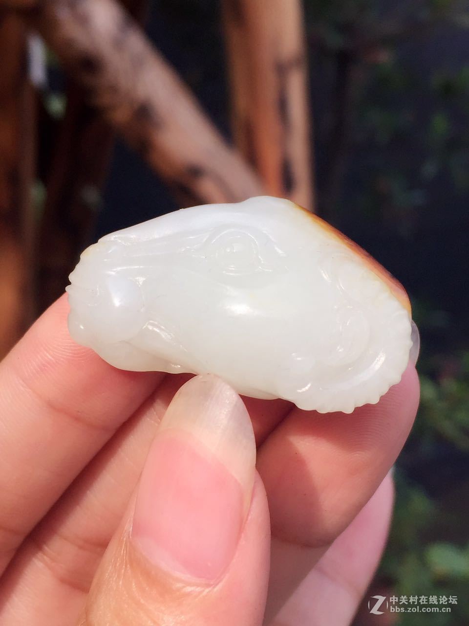 来看看我最近的收藏品~~