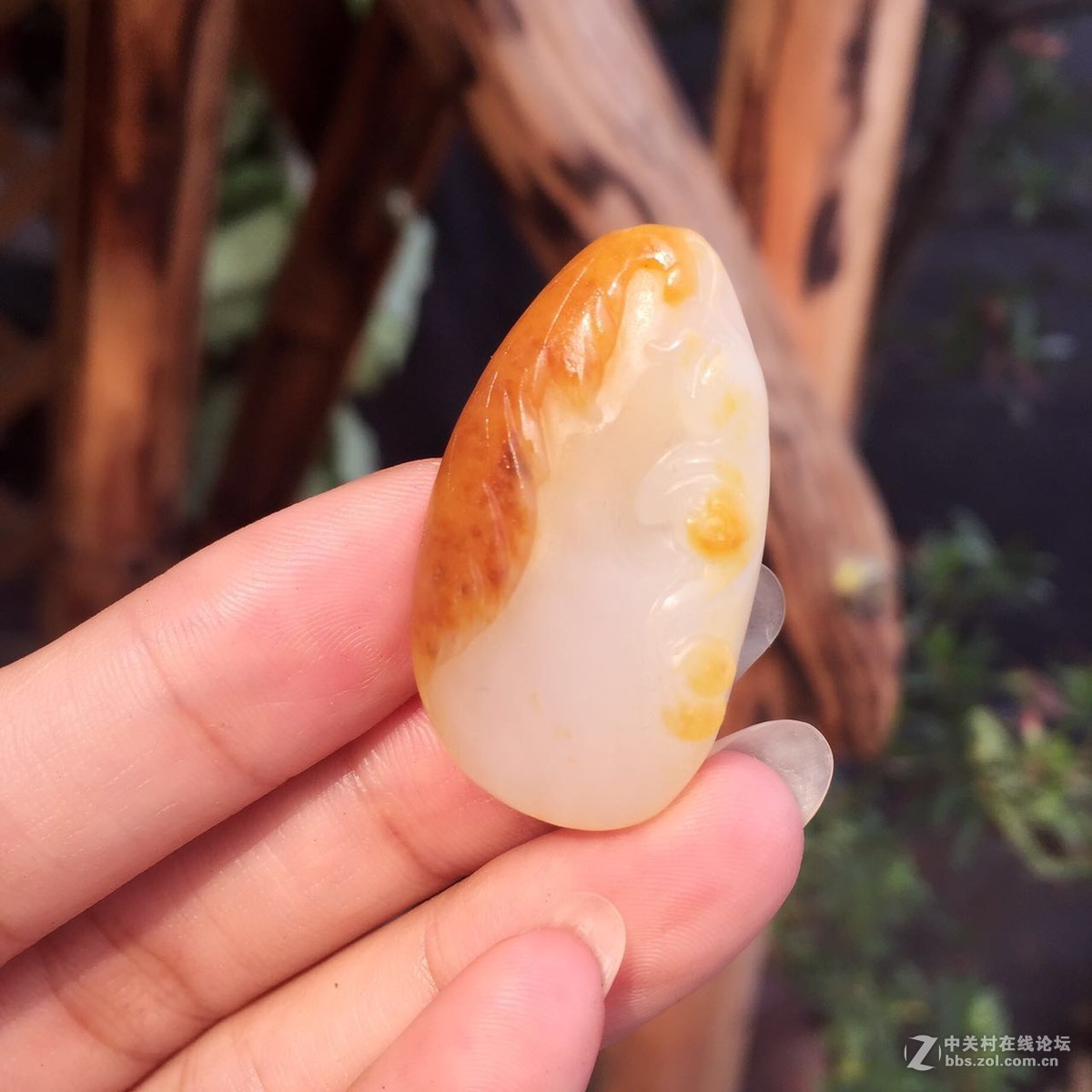 来看看我最近的收藏品~~