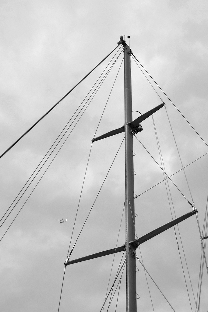 随拍塔拉号双桅帆船 ------ 2