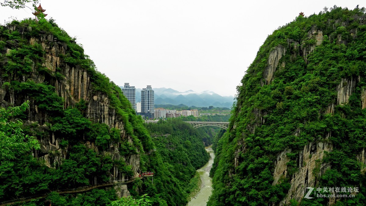 黔江芭拉胡图片