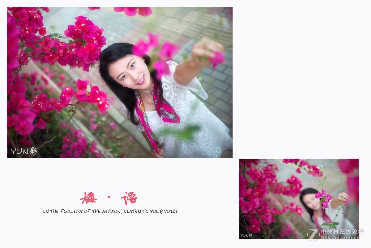 三角梅人像【梅语】