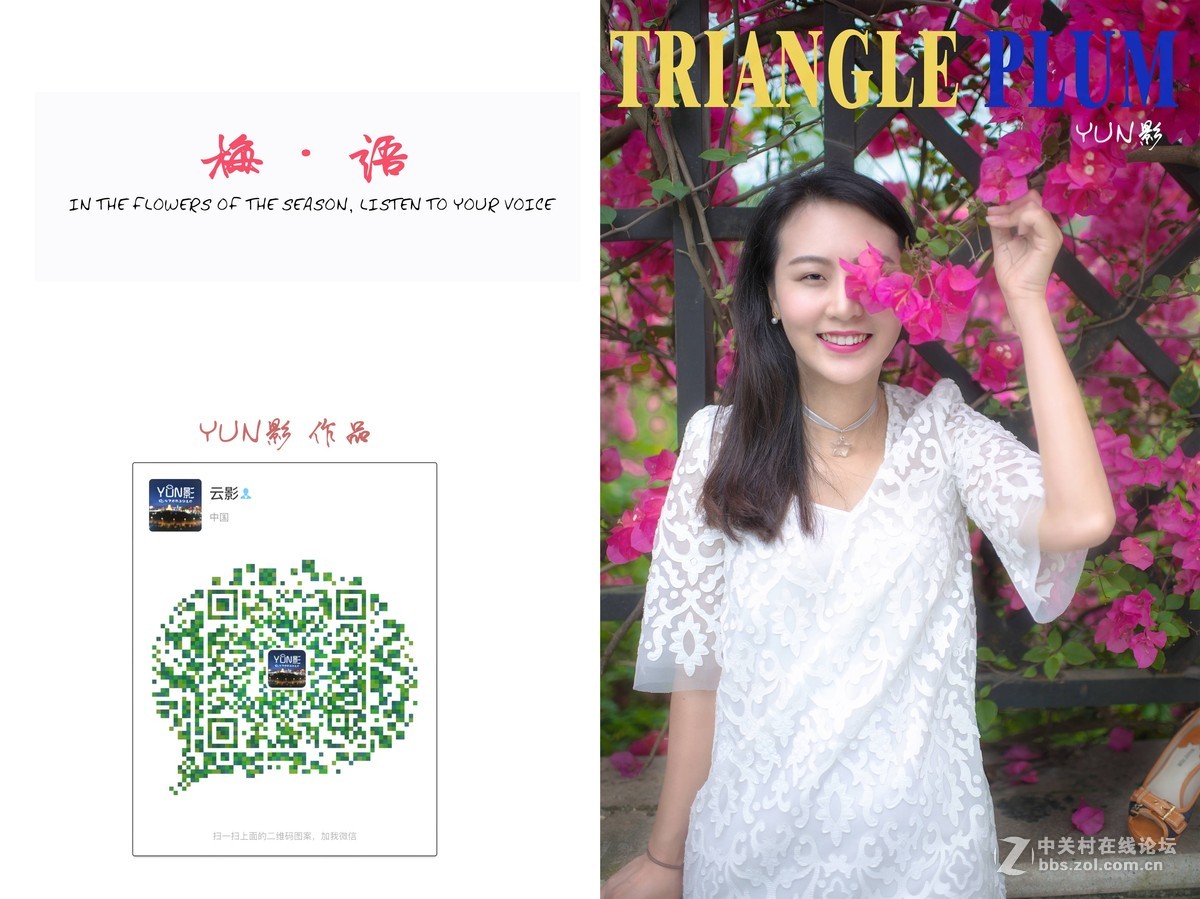 三角梅人像【梅语】