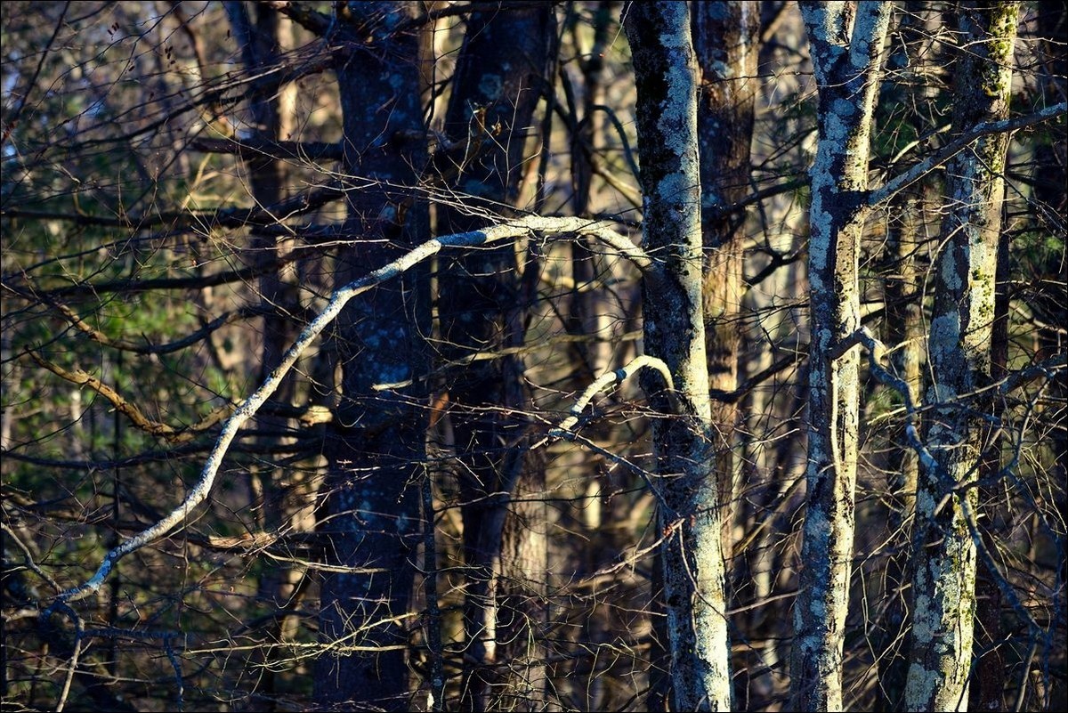 休闲随拍（381）