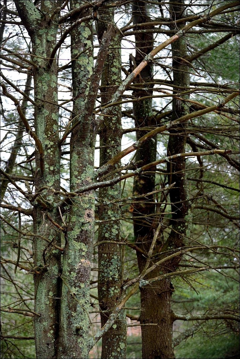 休闲随拍（381）