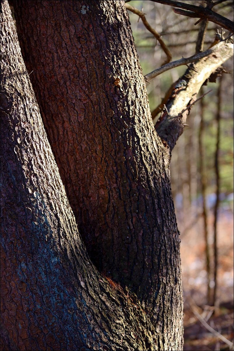 休闲随拍（381）