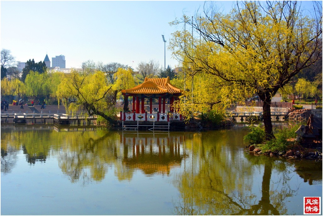 【谷雨——劳动公园的春天】