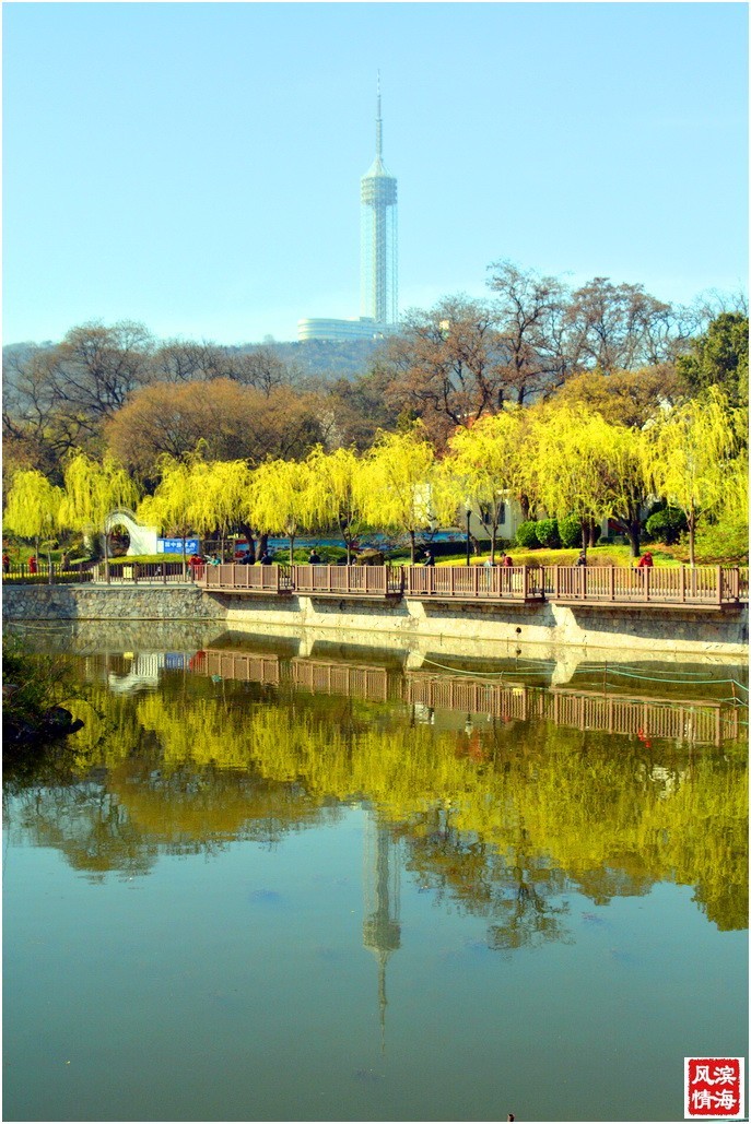 【谷雨——劳动公园的春天】