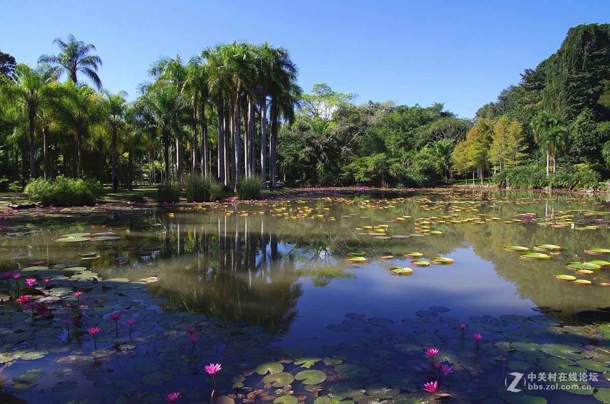 『中科院西双版纳热带植物园--续』123...15P