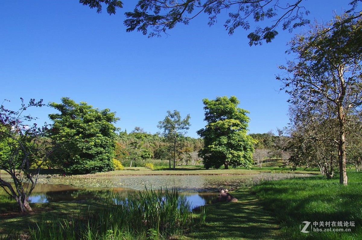 『中科院西双版纳热带植物园--续』123...15P