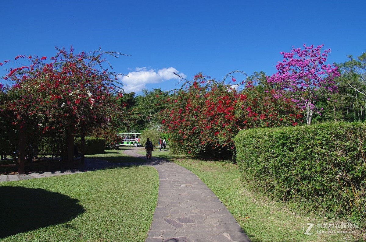 『中科院西双版纳热带植物园--续』123...15P