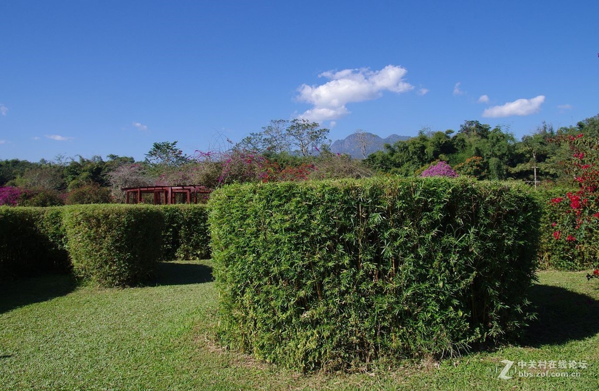 『中科院西双版纳热带植物园--续』123...15P