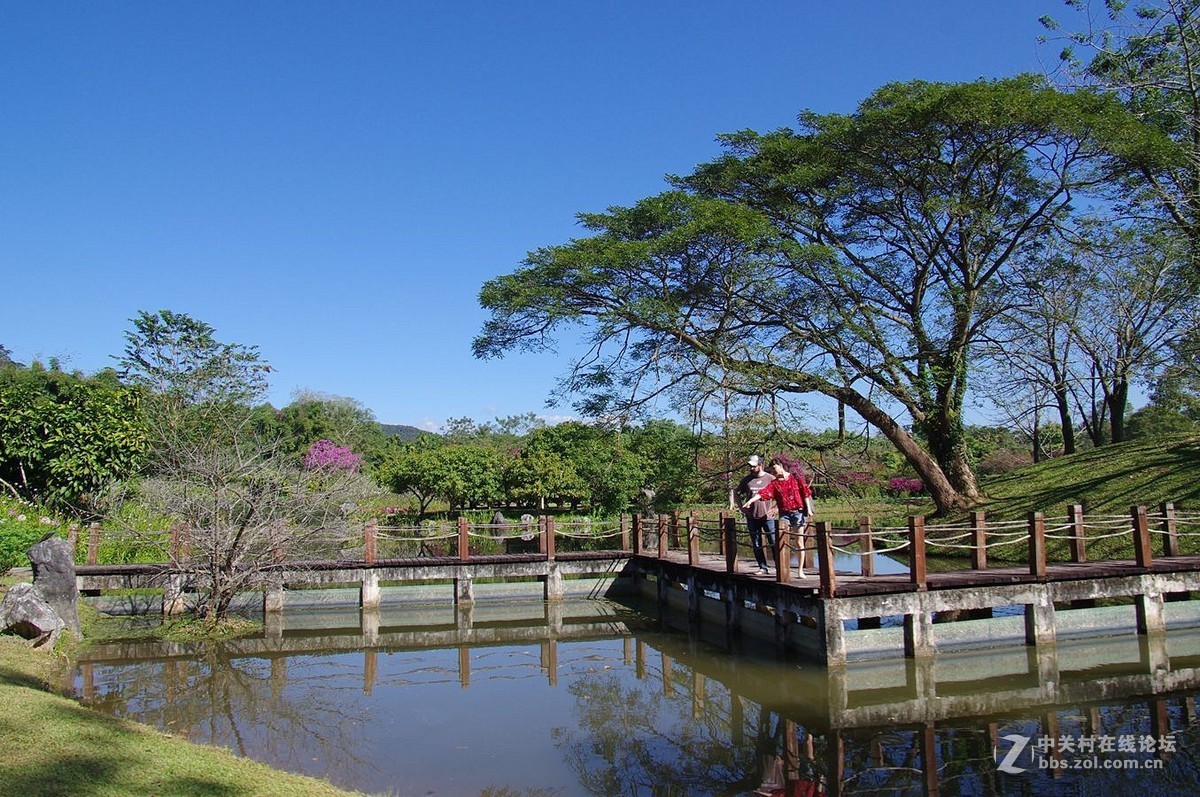 『中科院西双版纳热带植物园--续』123...15P