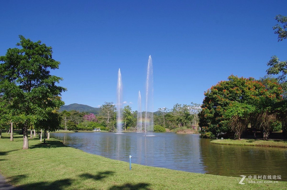 『中科院西双版纳热带植物园--续』123...15P