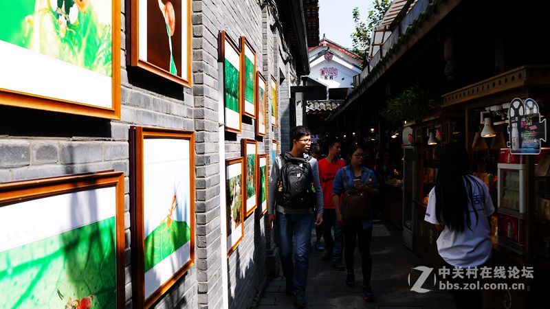 成都游记之二宽窄巷子