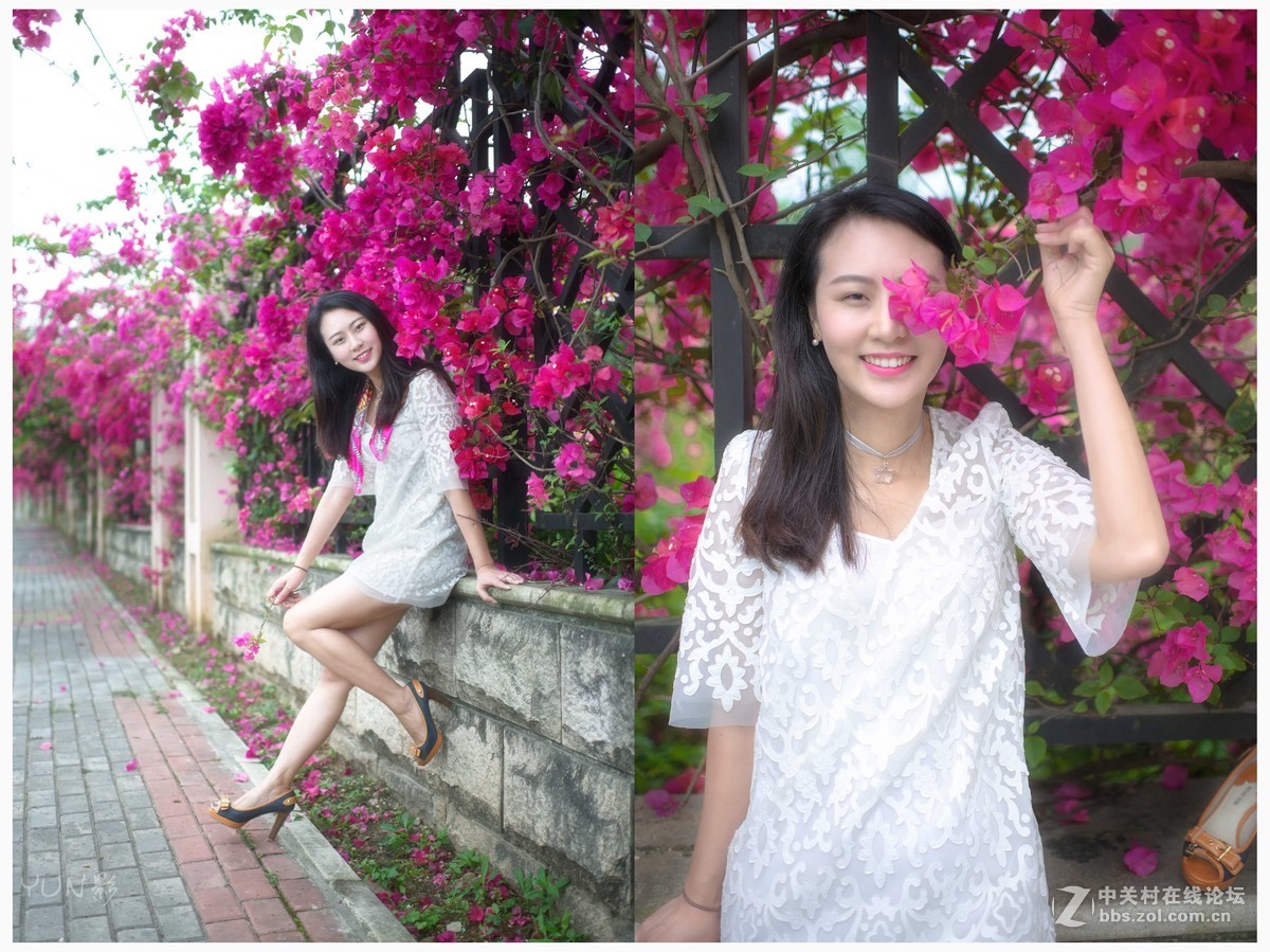 三角梅人像【梅语】