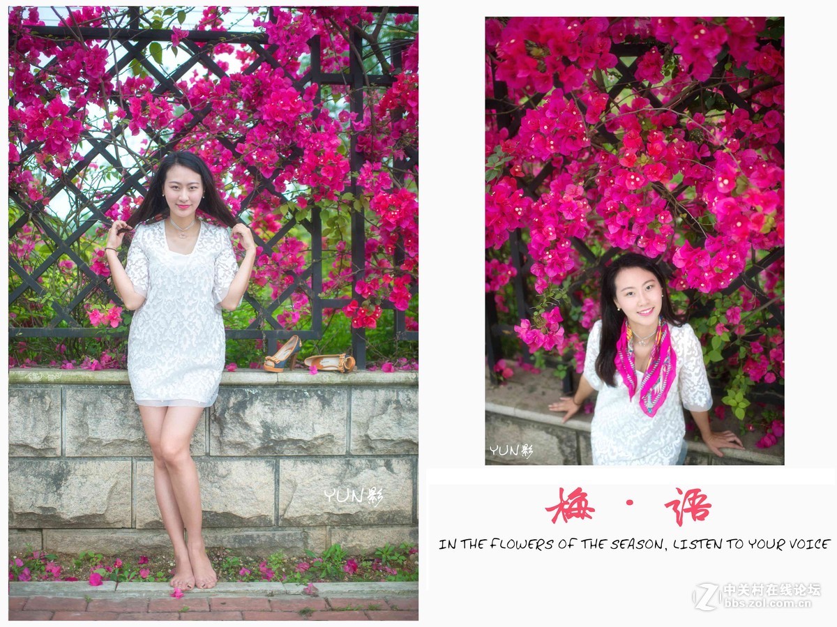 三角梅人像【梅语】