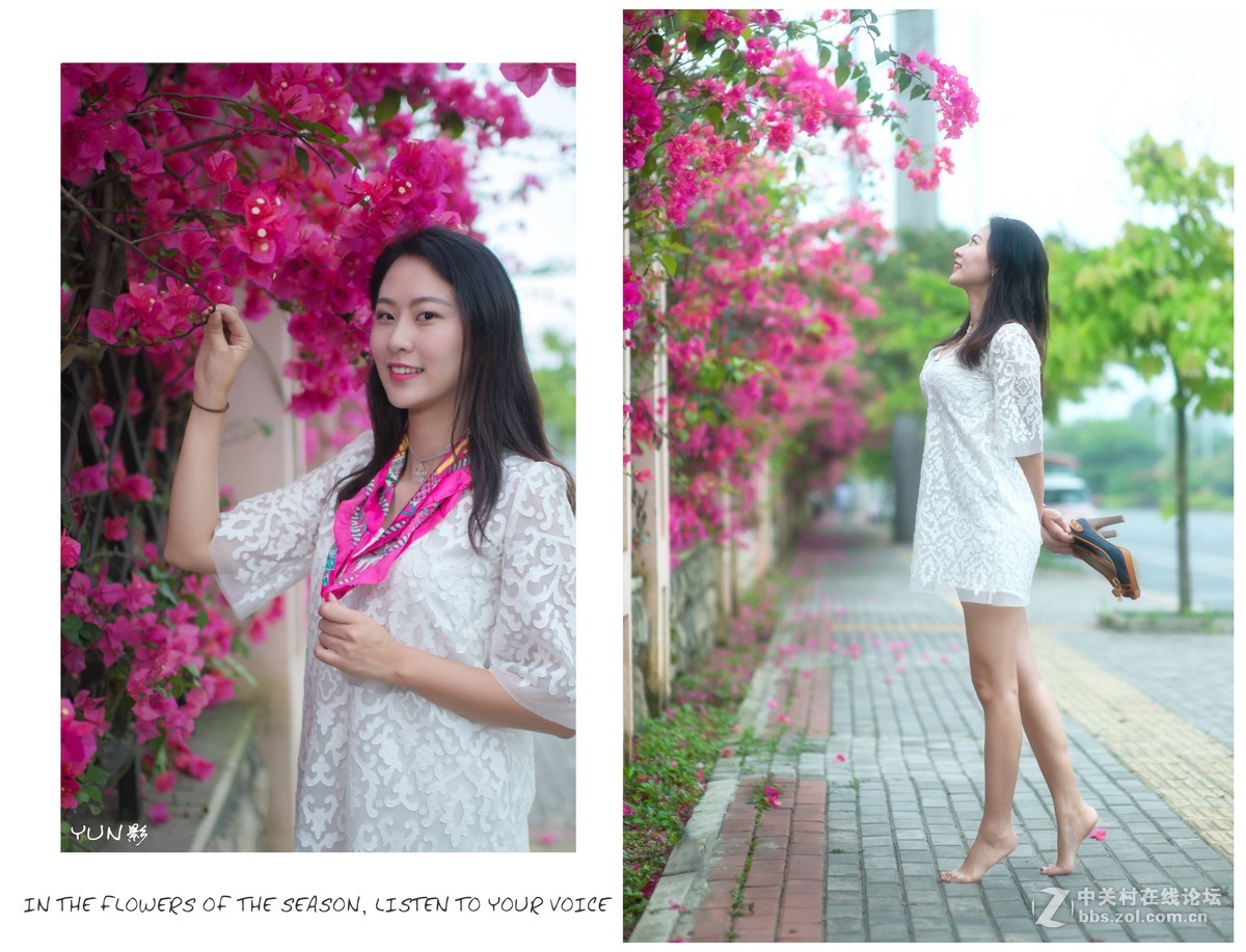 三角梅人像【梅语】