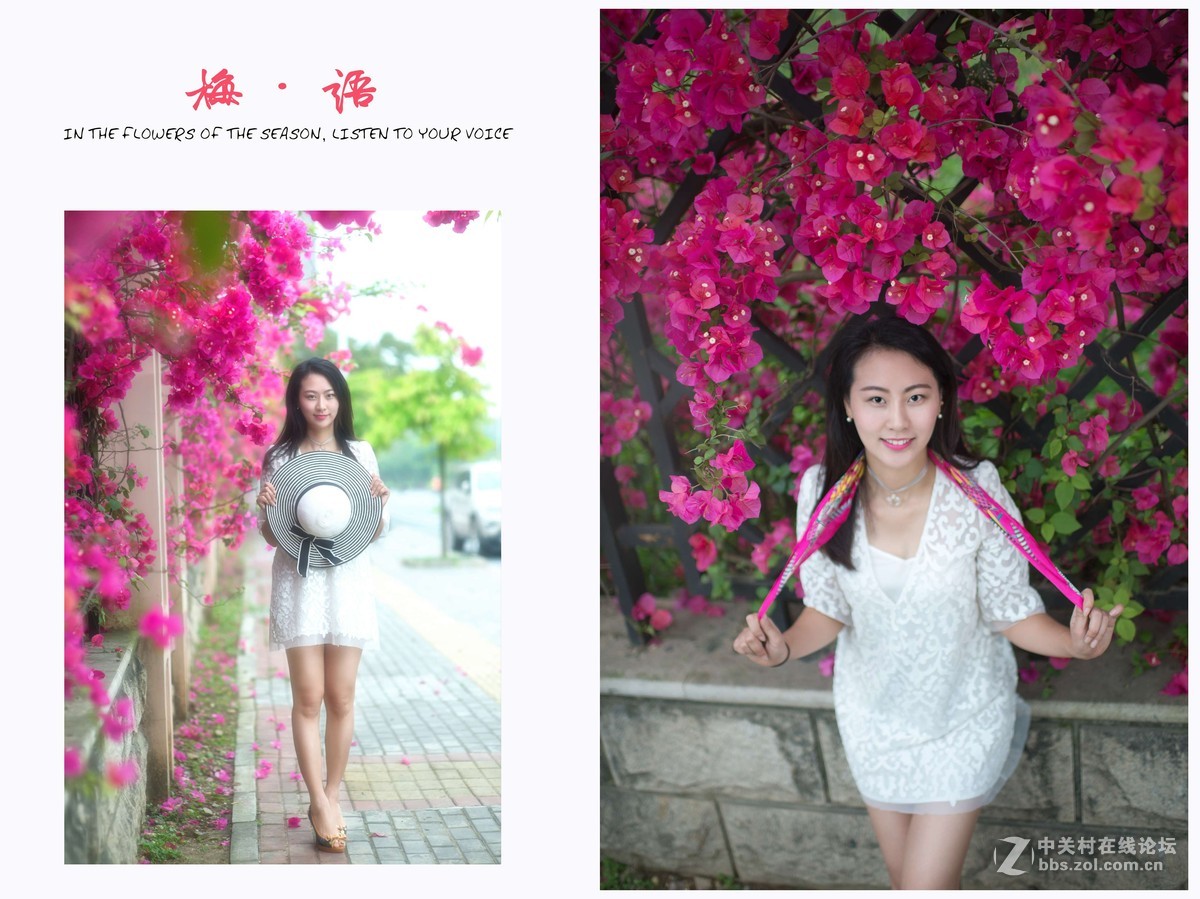 三角梅人像【梅语】