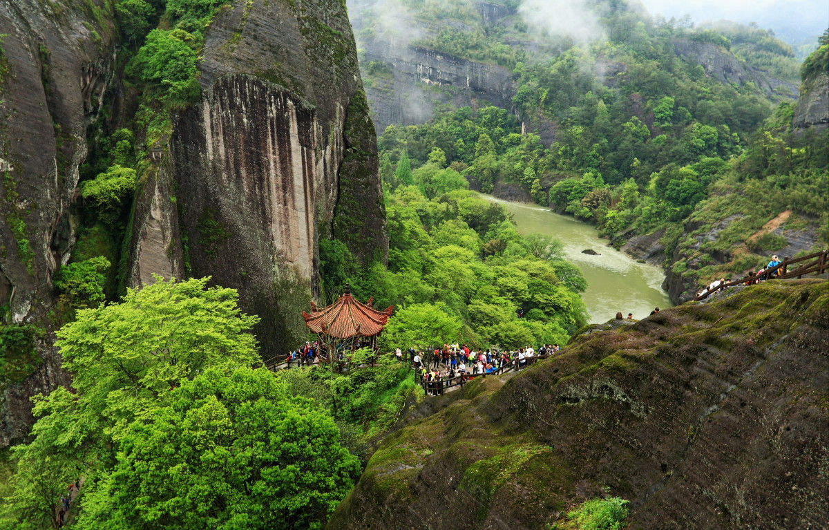 烟雨武夷山小记