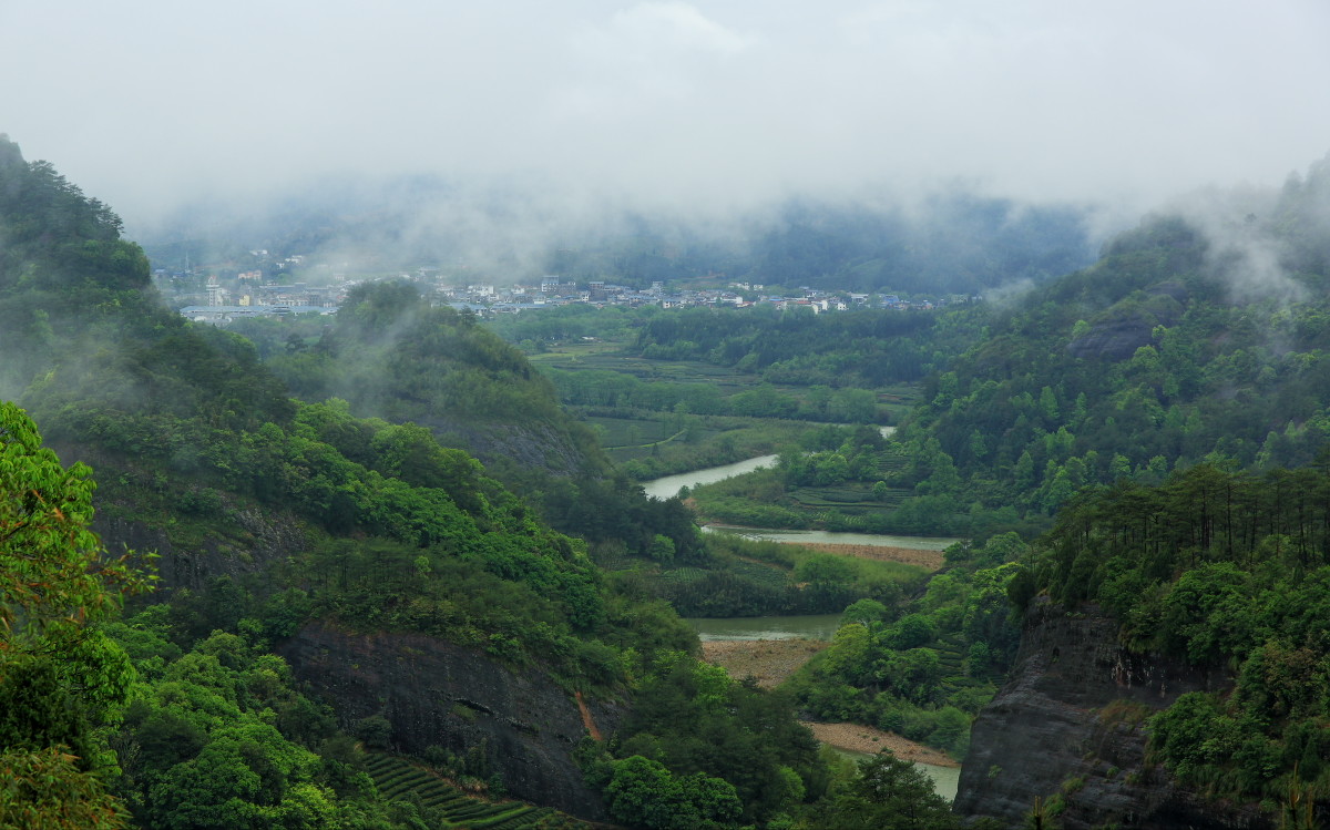 烟雨武夷山小记