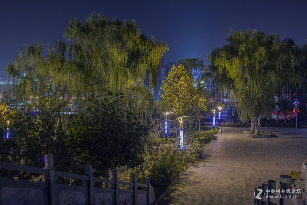 高清夜景（东湖公园）3