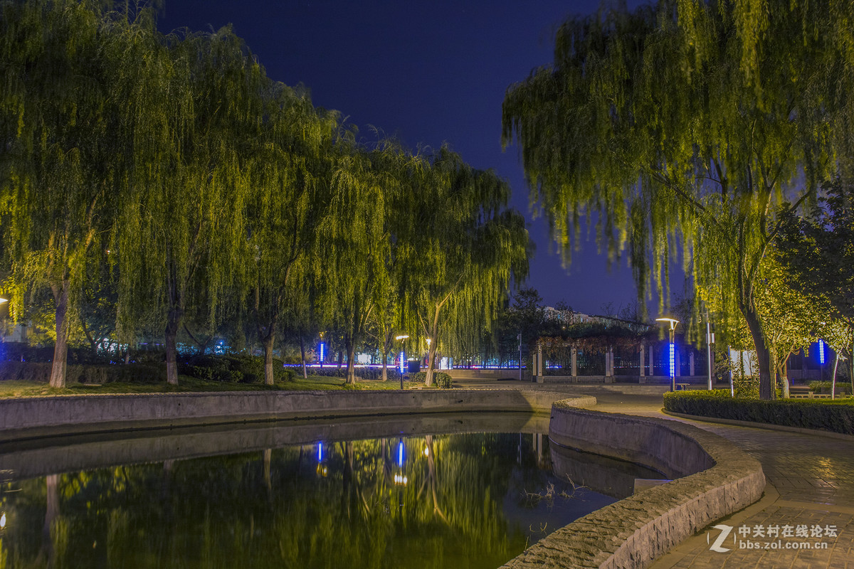 高清夜景（东湖公园）3