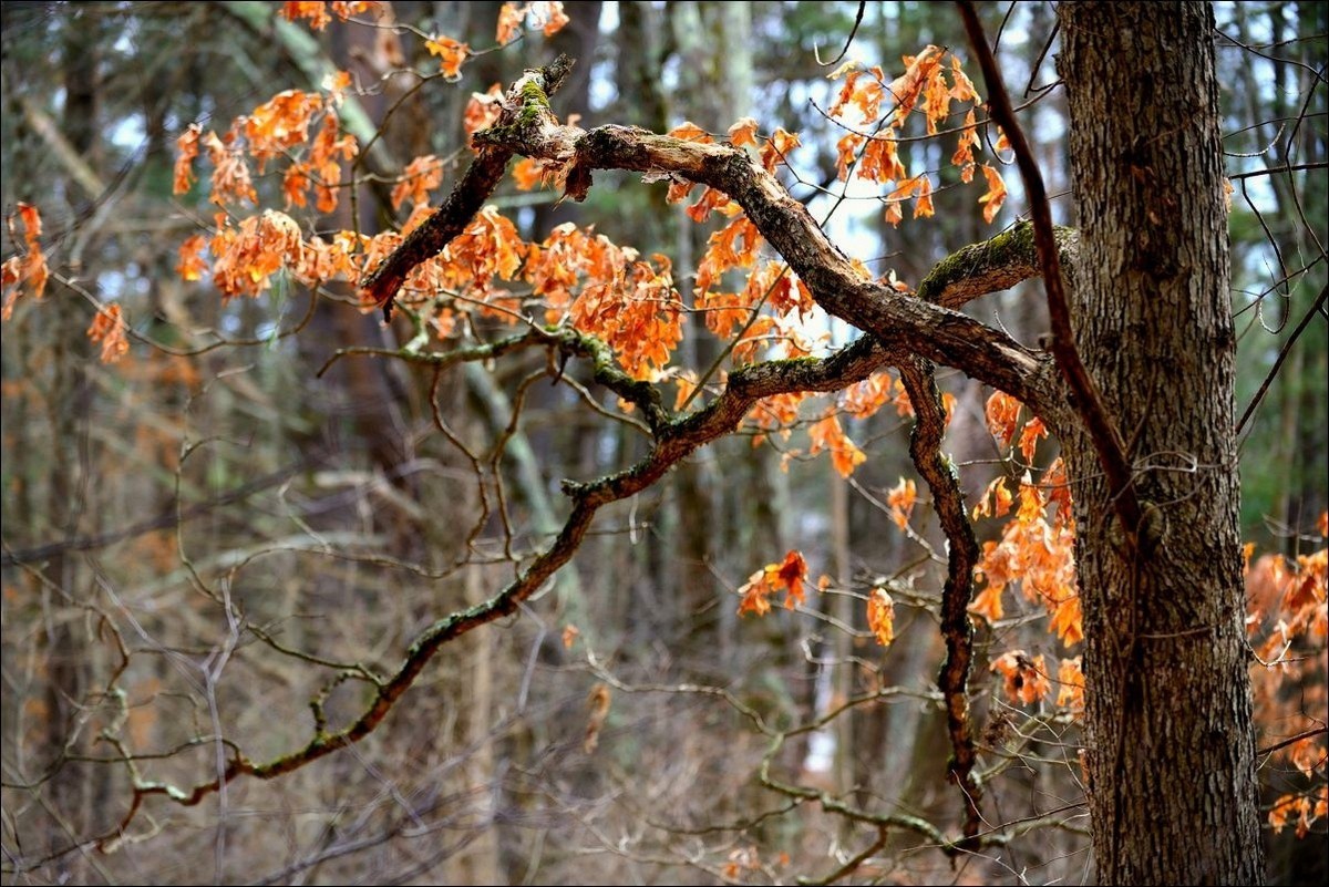 休闲随拍（381）