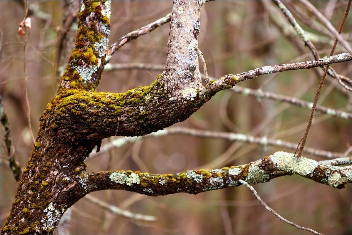 休闲随拍（381）