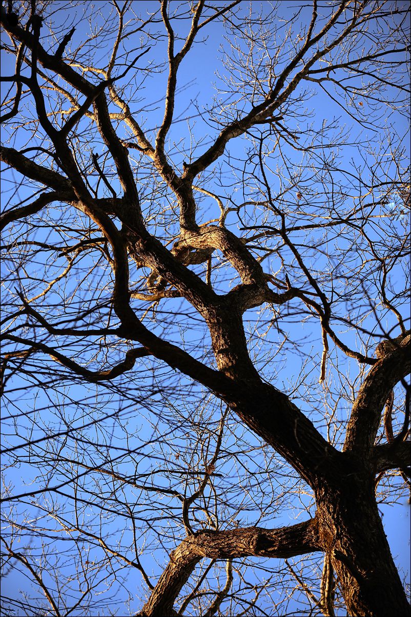 休闲随拍（381）