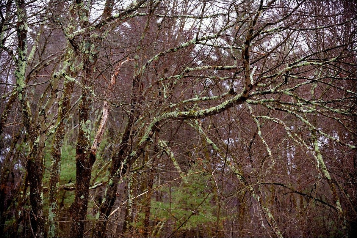 休闲随拍（381）