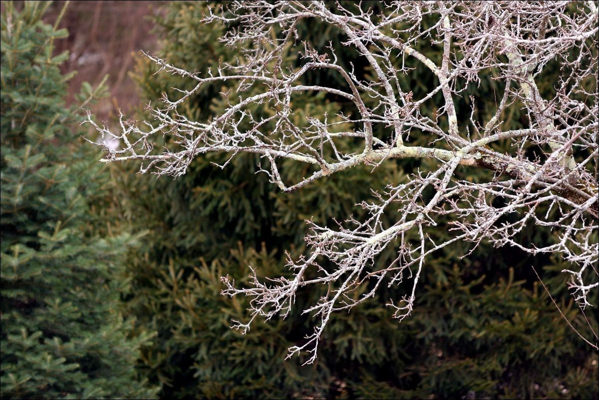 休闲随拍（381）