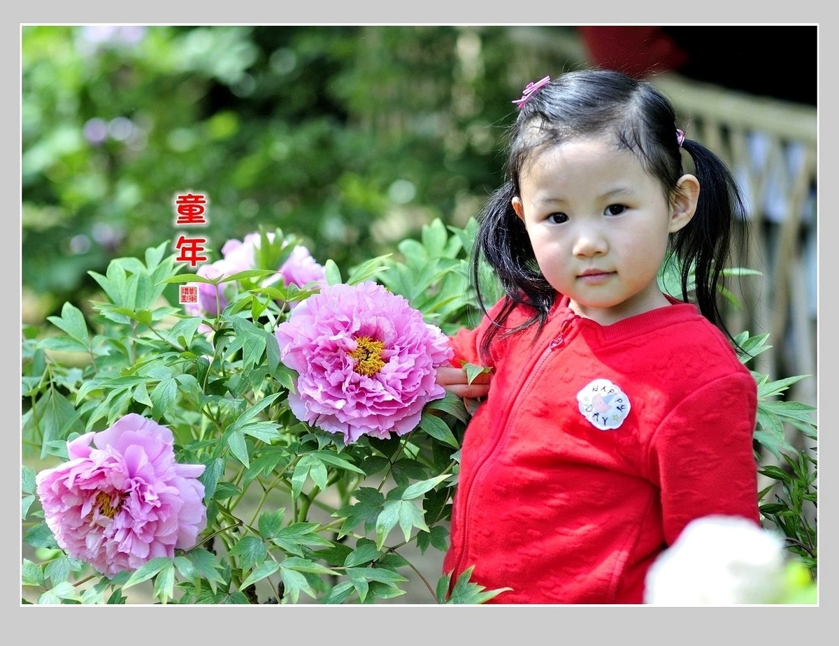 【视觉光影】再回首——我得2017（小孙女篇）