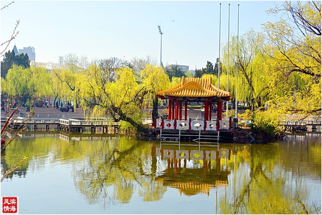 【谷雨——劳动公园的春天】