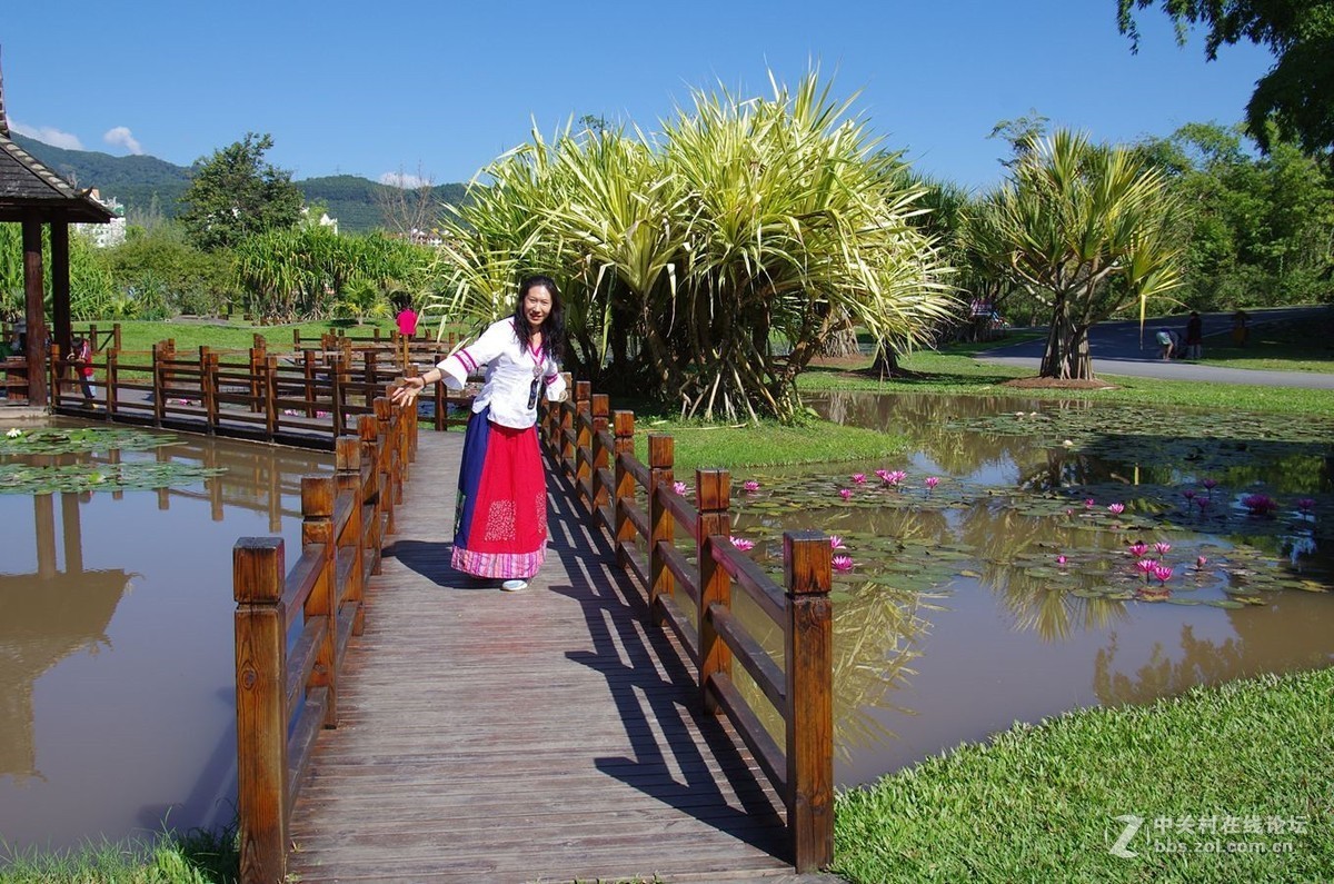 『中科院西双版纳热带植物园--续』123...15P