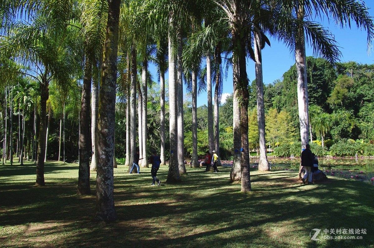 『中科院西双版纳热带植物园--续』123...15P