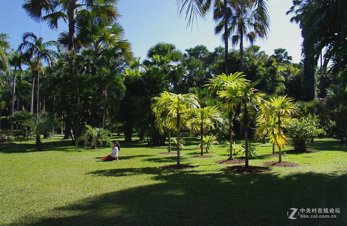 『中科院西双版纳热带植物园--续』123...15P