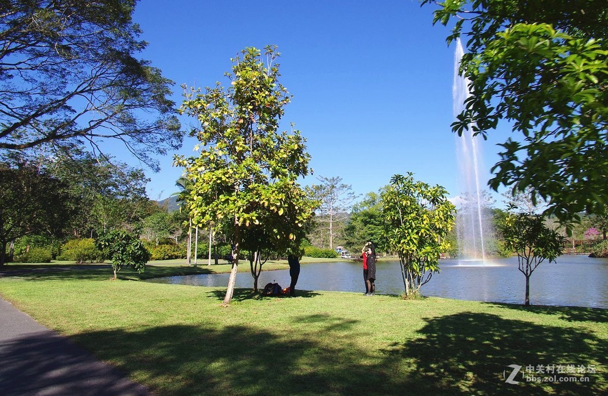 『中科院西双版纳热带植物园--续』123...15P