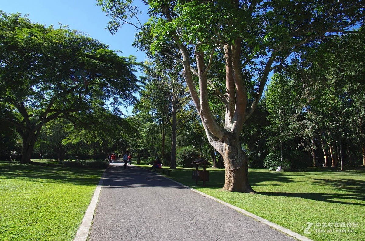 『中科院西双版纳热带植物园--续』123...15P