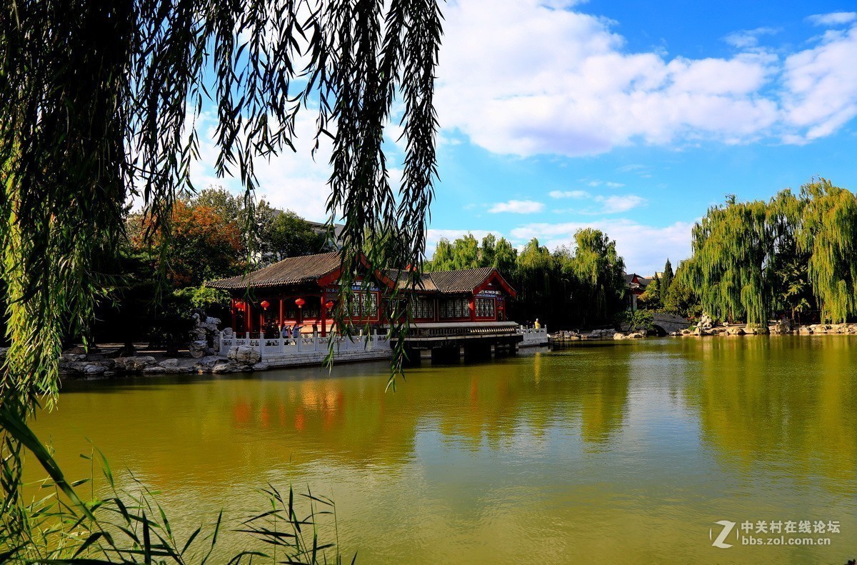 #版主坐堂# 6D版块2018年12月份精华贴汇集