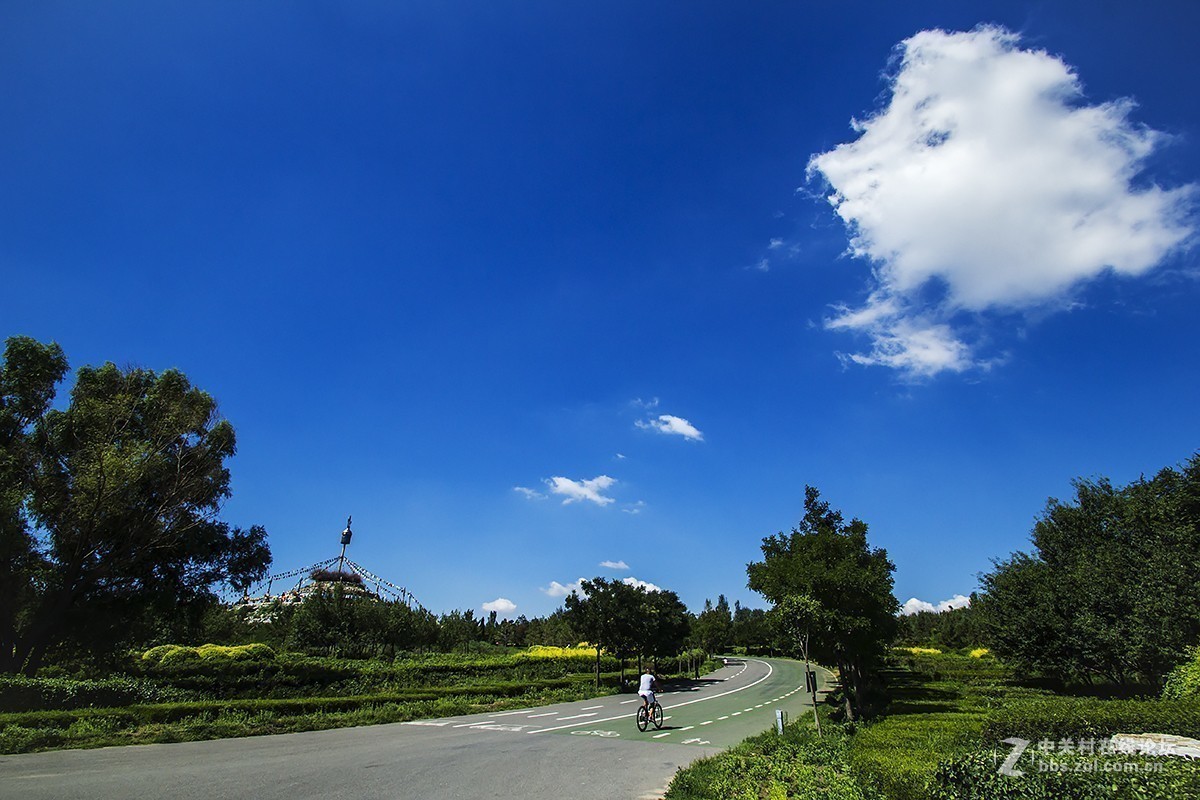 #版主坐堂# 6D版块2018年12月份精华贴汇集