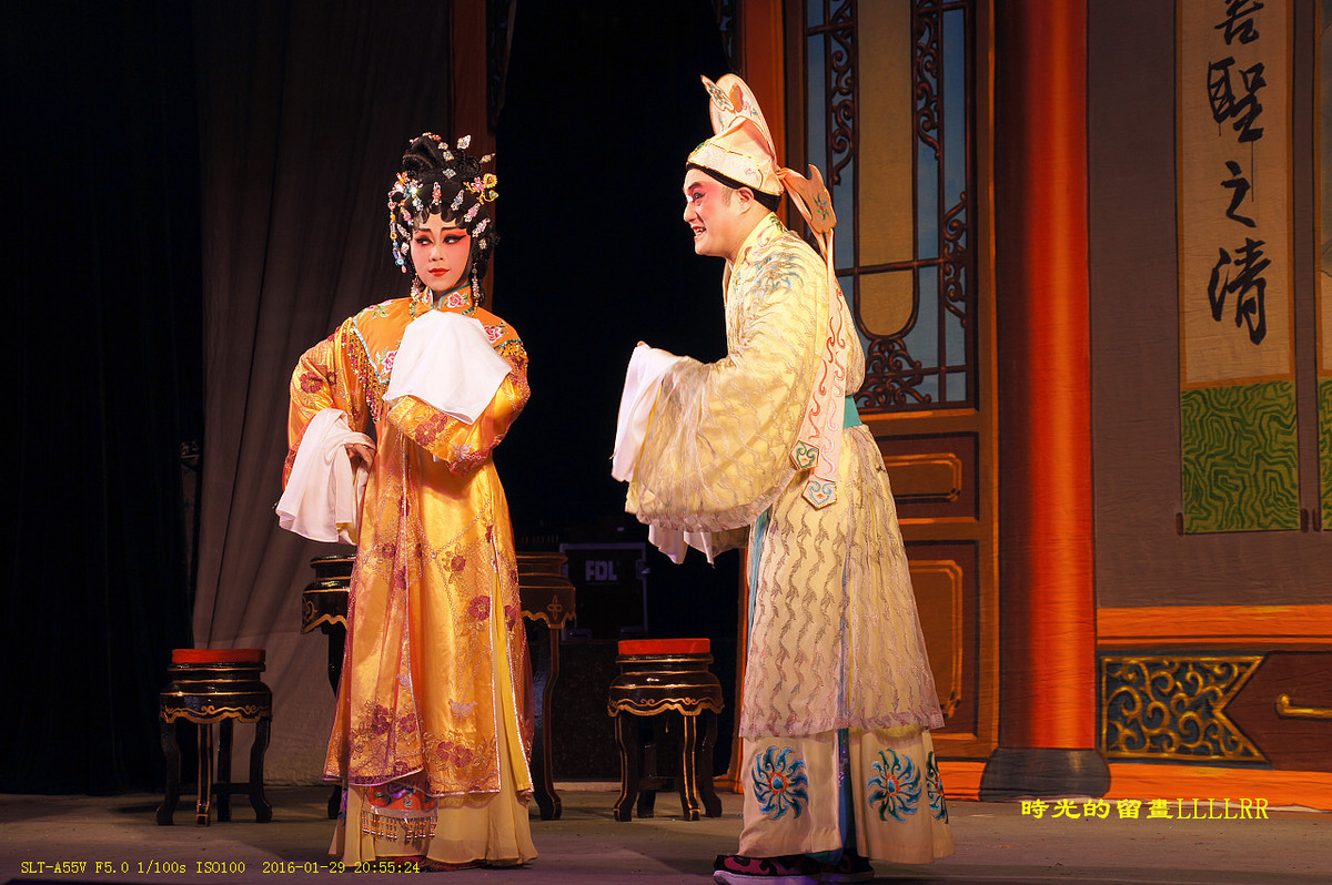 戏曲表演人物抓拍................我们村里的春晚(2016)