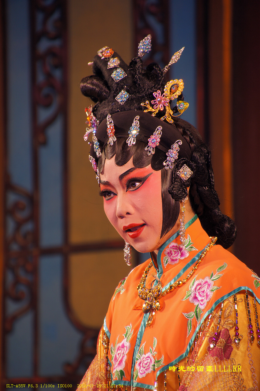 戏曲表演人物抓拍................我们村里的春晚(2016)