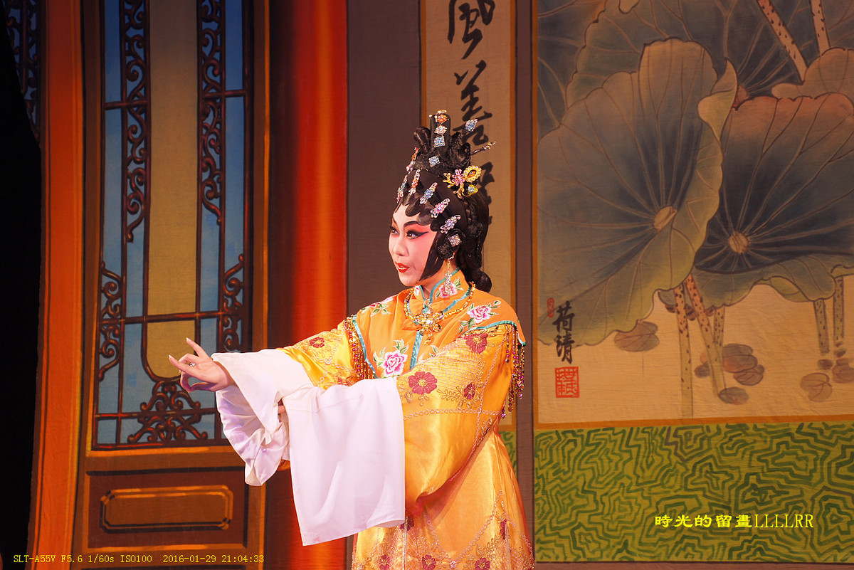 戏曲表演人物抓拍................我们村里的春晚(2016)