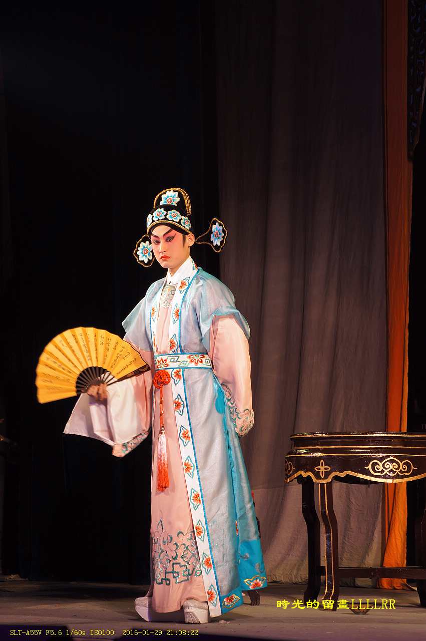 戏曲表演人物抓拍................我们村里的春晚(2016)