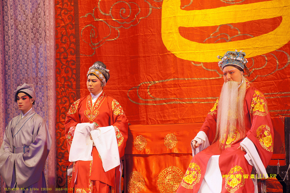 戏曲表演人物抓拍................我们村里的春晚(2016)