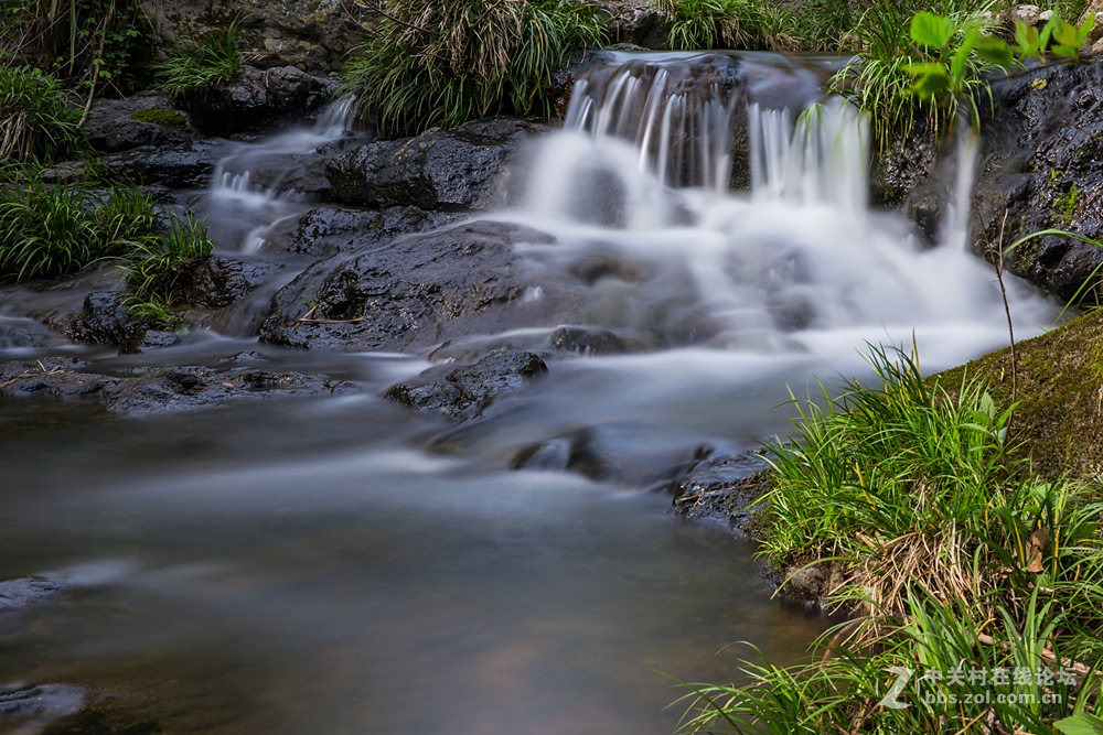 #ZOL月赛-春暖花开#+潺潺溪流