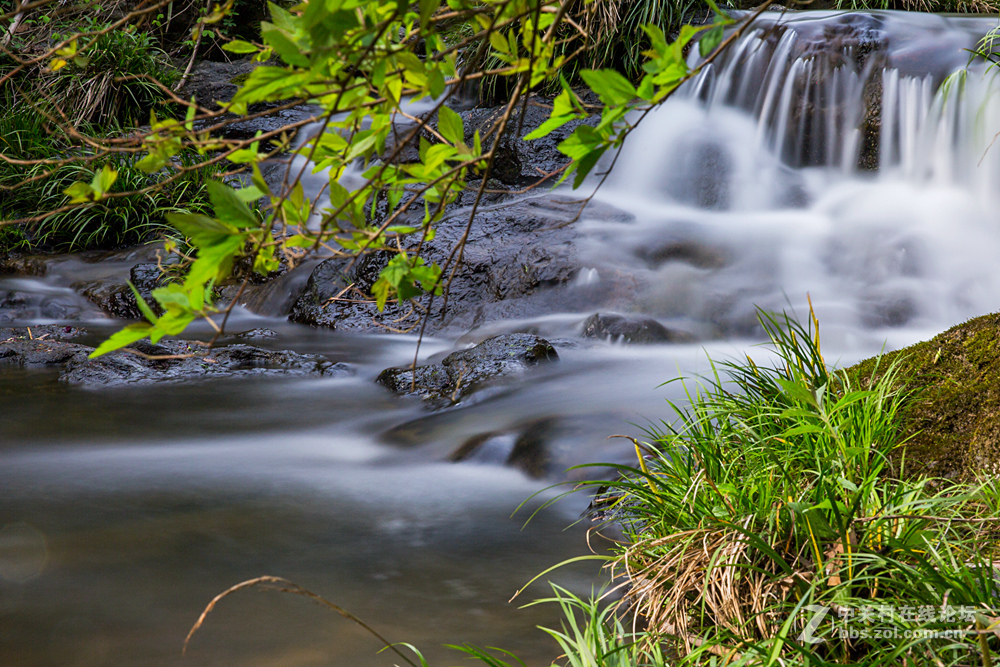 #ZOL月赛-春暖花开#+潺潺溪流