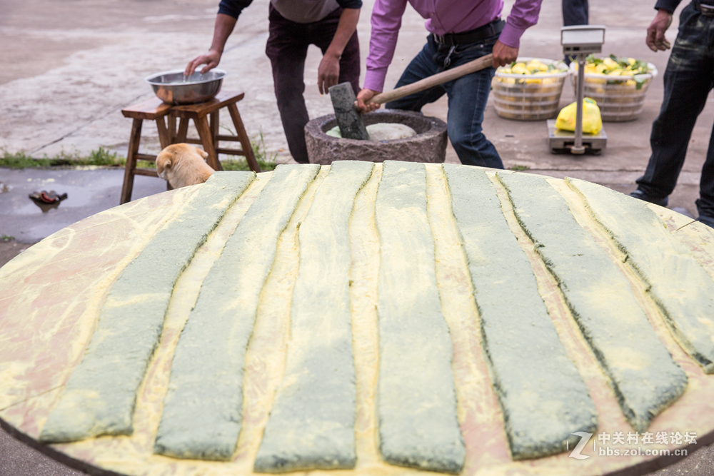 #ZOL月赛-春暖花开#+倒麻糍